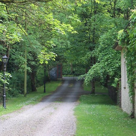 Millvale Cottage Cootehill Esterno foto